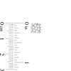 Thumbnail Image 3 of 1/4 CT. T.W. Multi-Diamond Stud Earrings in 10K White Gold