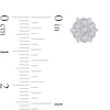 Thumbnail Image 3 of 1/10 CT. T.W. Diamond Honeycomb Stud Earrings in 10K White Gold