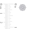Thumbnail Image 3 of 1/10 CT. T.W. Diamond Flower Stud Earrings in 10K Gold