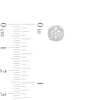 Thumbnail Image 3 of 1/4 CT. T.W. Multi-Diamond Tulip Frame Stud Earrings in 10K White Gold
