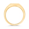 Thumbnail Image 3 of Diamond Accent Solitaire North Star Signet Ring in 10K Gold