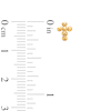 Thumbnail Image 2 of Child's Bead Cross Stud Earrings in 14K Gold