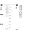 Thumbnail Image 3 of 1 CT. T.W. Certified Diamond Huggie Hoop Earrings in 14K White Gold (H/I1)