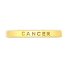 Thumbnail Image 4 of 1/20 CT. T.W. Diamond Cancer Zodiac Disc Pendant in Sterling Silver with Yellow Rhodium