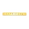 Thumbnail Image 4 of 1/15 CT. T.W. Diamond Capricorn Zodiac Disc Pendant in Sterling Silver with Yellow Rhodium