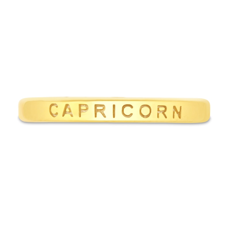 Main Image 4 of 1/15 CT. T.W. Diamond Capricorn Zodiac Disc Pendant in Sterling Silver with Yellow Rhodium