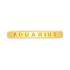 Thumbnail Image 3 of 1/10 CT. T.W. Diamond Aquarius Zodiac Disc Pendant in Sterling Silver with Yellow Rhodium