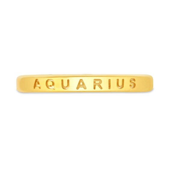 1/10 CT. T.w. Diamond Aquarius Zodiac Disc Pendant in Sterling Silver with Yellow Rhodium