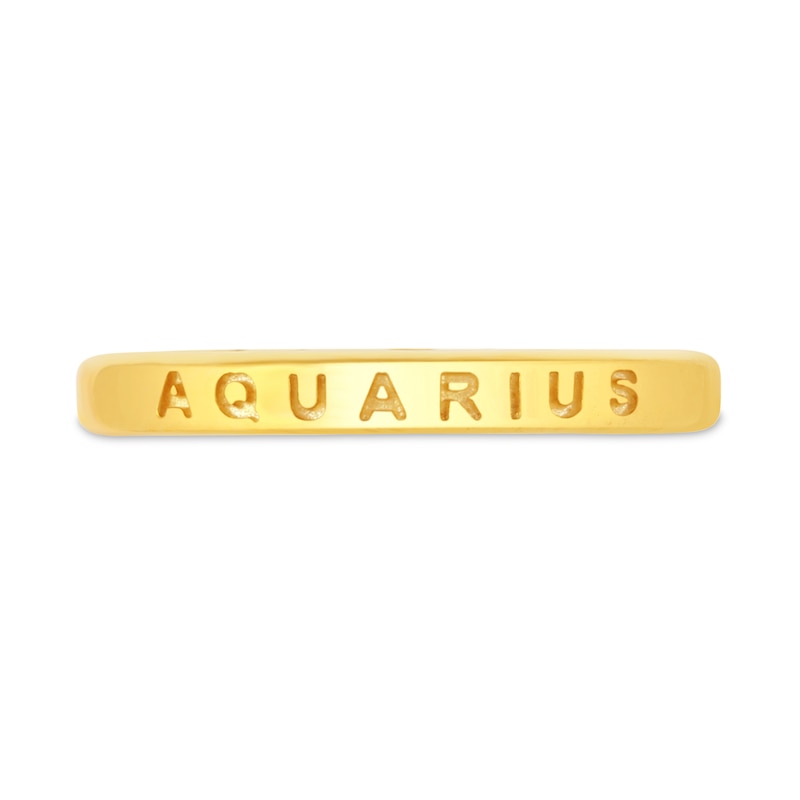 Main Image 3 of 1/10 CT. T.W. Diamond Aquarius Zodiac Disc Pendant in Sterling Silver with Yellow Rhodium