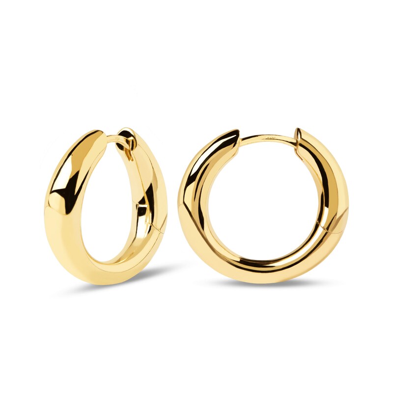 Main Image 1 of PDPAOLA™ at Zales 5.5mm Hoop Earrings in 18K Gold Plated Brass