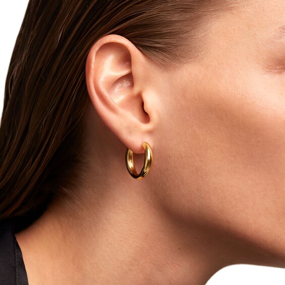 PDPAOLA™ at Zales 5.5mm Hoop Earrings in 18K Gold Plated Brass