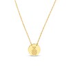 Thumbnail Image 1 of Etched Pineapple Disc Necklace in 14K Gold