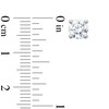 Thumbnail Image 3 of 1-1/2 CT. T.W. Certified Lab-Grown Diamond Solitaire Stud Earrings in 14K White Gold (I/SI2)