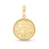 Thumbnail Image 0 of Lion Portrait Medallion Charm in Solid 14K Gold