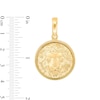 Thumbnail Image 1 of Lion Portrait Medallion Charm in Solid 14K Gold