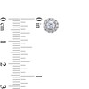 Thumbnail Image 3 of 1/2 CT. T.W. Diamond Frame Stud Earrings in 10K White Gold (J/I2)