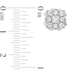 Thumbnail Image 3 of 1/4 CT. T.W. Cushion Multi-Diamond Scallop Frame Stud Earrings in 10K White Gold