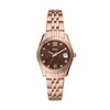 Thumbnail Image 1 of Ladies' Fossil Scarlette Crystal Accent Rose-Tone IP Watch with Brown Sunray Dial (Model: ES5324)