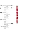Thumbnail Image 3 of Lab-Created Ruby and White Sapphire Inside Out Hoops in 10K White Gold