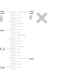 Thumbnail Image 2 of 1/10 CT. T.W. Diamond "XO" Mismatch Stud Earrings in Sterling Silver