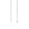 Thumbnail Image 3 of 2.0mm Curb Chain Necklace in Solid 14K White Gold