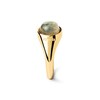 Thumbnail Image 6 of PDPAOLA™ at Zales ICONS 8.0mm Blue Labradorite Solitaire Ring in Sterling Silver with 18K Gold Plate