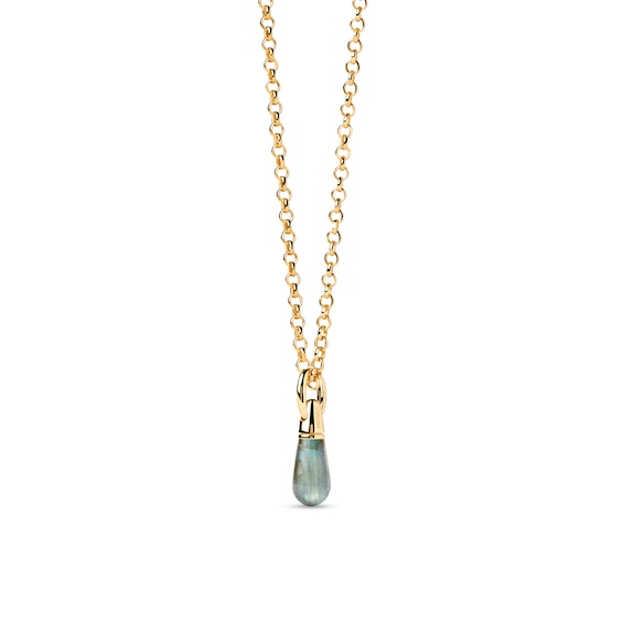 PDPAOLAâ¢ at Zales ICONS Labradorite Small Teardrop Hoop Earring and Necklace Charm in Sterling Silver with Gold Plate