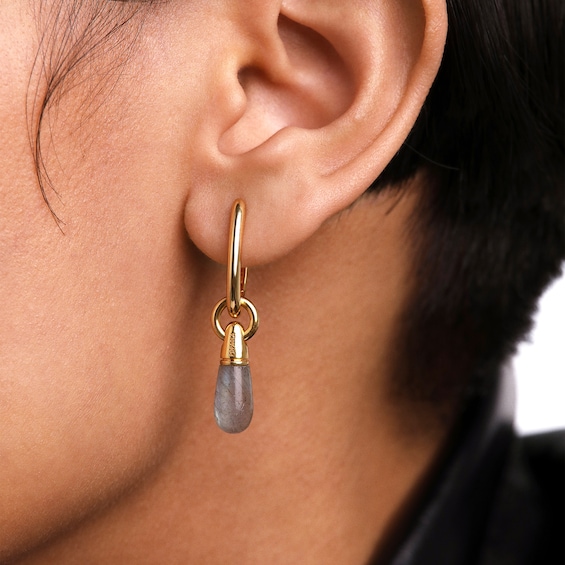 PDPAOLAâ¢ at Zales ICONS Labradorite Small Teardrop Dangle Single Hoop Earring in Sterling Silver with 18K Gold Plate
