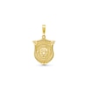 Thumbnail Image 1 of Lion Head Shield Necklace Charm in 14K Gold