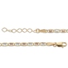 Thumbnail Image 2 of 2.5mm Diamond-Cut Valentino Chain Anklet in Solid 14K Tri-Tone Gold - 10"