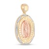 Thumbnail Image 2 of 1/8 CT. T.W. Diamond Our Lady of Guadalupe Oval Frame Necklace Charm in 10K Two-Tone Gold