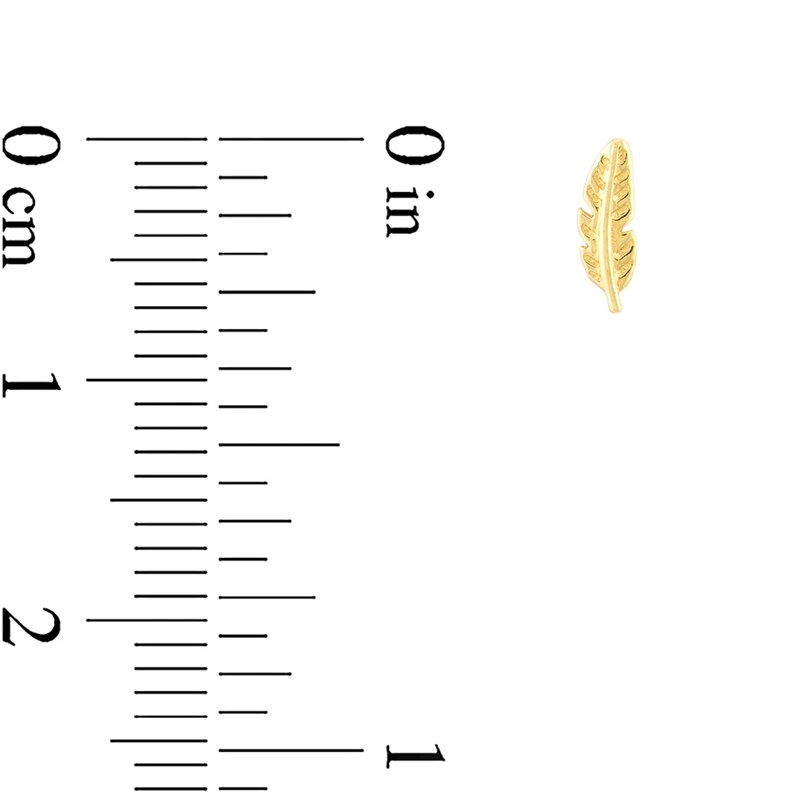 Main Image 3 of Feather Stud Earrings in 14K Gold