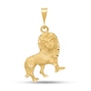Thumbnail Image 1 of Lion Necklace Charm in Solid 14K Gold