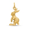 Thumbnail Image 1 of Jackrabbit Charm in Solid 14K Gold