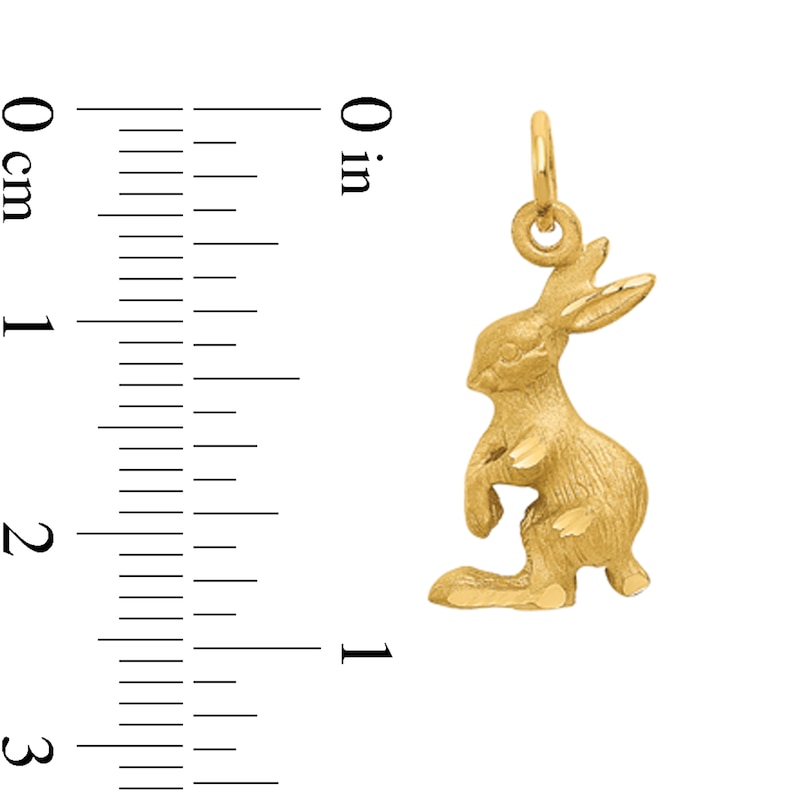 Main Image 2 of Jackrabbit Charm in Solid 14K Gold