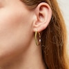 Thumbnail Image 2 of Jade Hoop Earrings in Sterling Silver with 18K Gold Plate