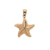 Thumbnail Image 1 of Textured Starfish Necklace Charm in Hollow 14K Gold