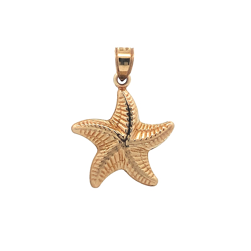 Main Image 1 of Textured Starfish Necklace Charm in Hollow 14K Gold