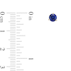 Thumbnail Image 3 of 5.0mm Blue Lab-Created Sapphire Solitaire Martini Stud Earrings in 10K Gold
