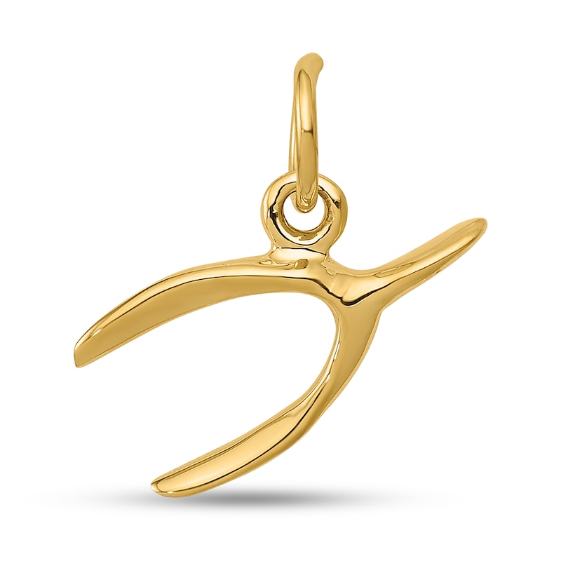 Main Image 1 of Tilted Wishbone Charm in Solid 14K Gold
