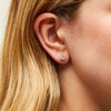Thumbnail Image 2 of 1/2 CT. T.W. Multi-Diamond Stud Earrings in 10K White Gold