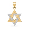Thumbnail Image 1 of Star of David Necklace Charm in Solid 14K Two-Tone Gold