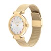 Thumbnail Image 3 of Ladies’ Coach Cary Multi-Color Crystal Gond-Tone IP Mesh Watch and Bracelet Set (Model: 14000112)