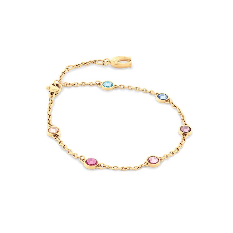 Main Image 5 of Ladies’ Coach Cary Multi-Color Crystal Gond-Tone IP Mesh Watch and Bracelet Set (Model: 14000112)