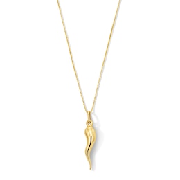 Italian Horn Pendant in Hollow 14K Gold - 20”