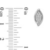 Thumbnail Image 3 of 1/6 CT. T.W. Marquise-Shaped Lab-Grown Multi-Diamond Bypass Stud Earrings in Sterling Silver