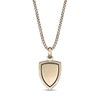 Thumbnail Image 3 of 1/10 CT. T.W. Diamond Saint Christopher Shield Pendant in Sterling Silver with 14K Gold Plate - 24"