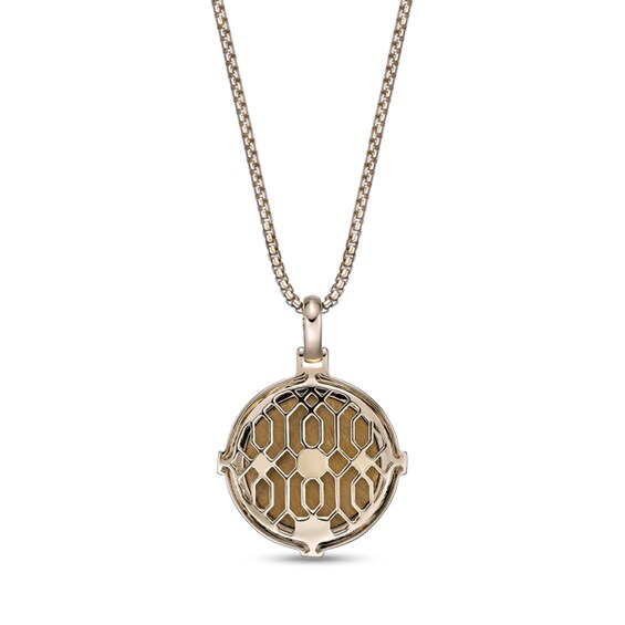 Tiger's Eye and 1/3 CT. T.w. Black Diamond Compass Pendant in Sterling Silver with 14K Gold Plate - 24"