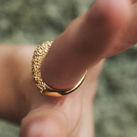 PDPAOLAâ¢ at Zales SILHOUETTES Textured Ring Solid Sterling Silver with 18K Gold Plate