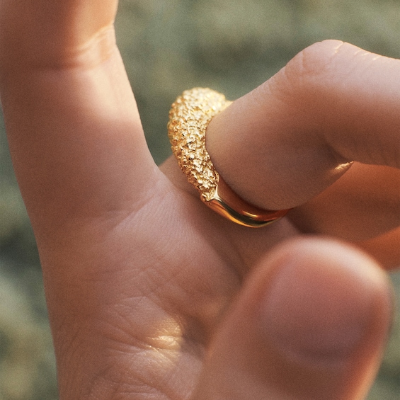 PDPAOLAâ¢ at Zales SILHOUETTES Textured Ring Solid Sterling Silver with 18K Gold Plate